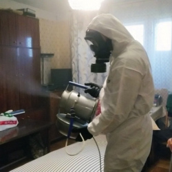 Дезинфекция от клопов в Гурьевске