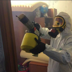 Уничтожение клопов в квартире. Гурьевск